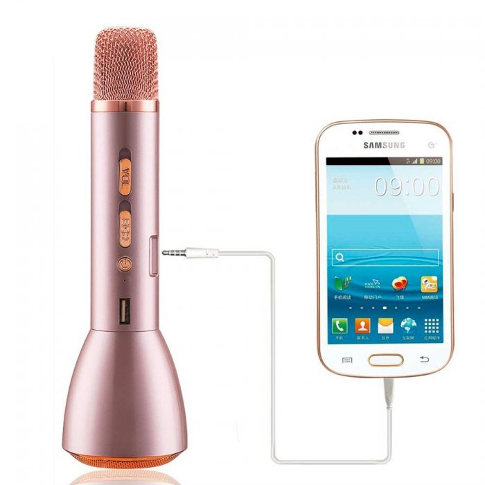 Microphone karaoké 5W avec haut-parleur Bluetooth et support pour  smartphone
